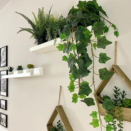 Capuanshome-Intero Appartamento 罗马 外观 照片